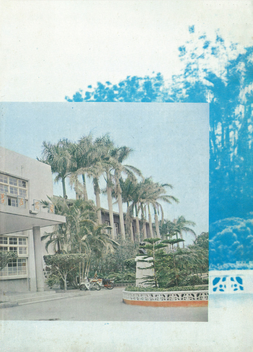 65年-低解析 65年-低解析