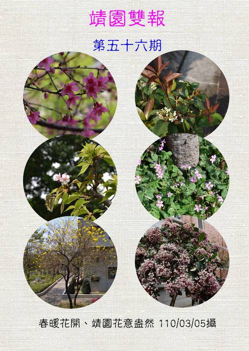#56靖園雙週報